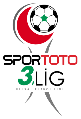 3. Lig - Group 2 logo