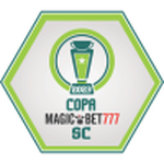 Copa Santa Catarina - Group Stage logo