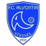 Alisontia Steinsel logo