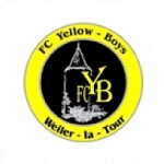 Yellow Boys Weiler logo