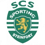 Stengefort logo