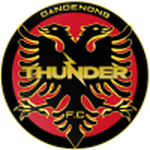 Dandenong Thunder logo