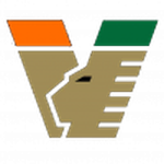 Venezia U19 logo