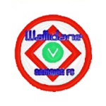 Wallidan logo