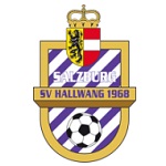 Hallwang logo