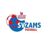 Zams logo