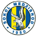 Sokol Medzibrod logo