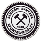 Sárisápi Bányász logo