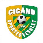 Cigand SE logo