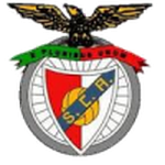 SC Angrense logo