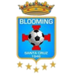 Blooming logo