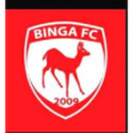 Binga logo