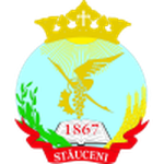 FC Stăuceni logo