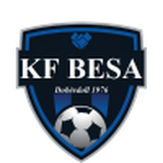 Besa 1976 logo