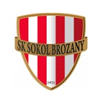 Sokol Brozany logo