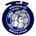 Bridlicna logo