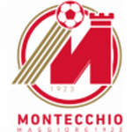 Montecchio Maggiore logo