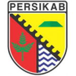 Persikab Bandung logo