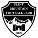 Flint Mountain logo