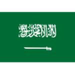 Saudi Arabia logo