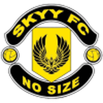 Skyy logo