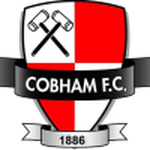 Cobham logo