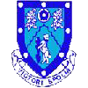 Rugby Town logo