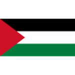 Palestine logo