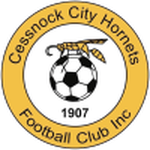 Cessnock City logo