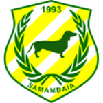 Samambaia U20 logo