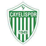 Cayeli SK logo