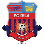 Dila Gori logo