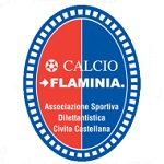 Flaminia logo