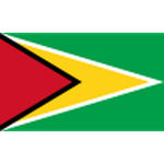 Guyana logo