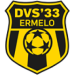 DVS '33 Ermelo logo