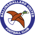 Ballinamallard logo