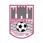 Dergview logo