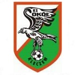 Sokół Kleczew logo