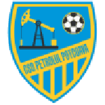 Petrolul Potcoava logo