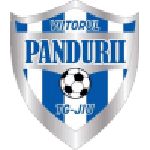 Viitorul P. Târgu Jiu logo