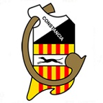 Constància logo