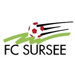 Sursee logo