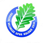 Ergene Velimeşespor logo