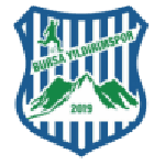 Bursa Yıldırımspor logo