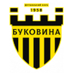 Bukovyna logo