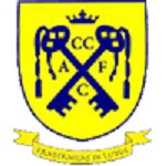 Cwmbran Celtic logo