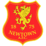 Newtown logo