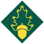 Forest Rangers logo