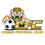Tigers FC logo