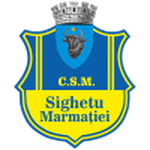 Sighetu Marmaţiei logo